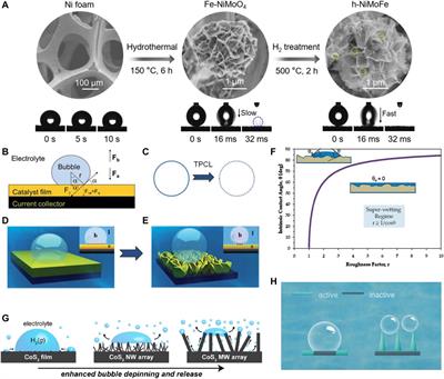 Design Strategies for Large Current Density Hydrogen Evolution Reaction